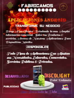 desarrollador